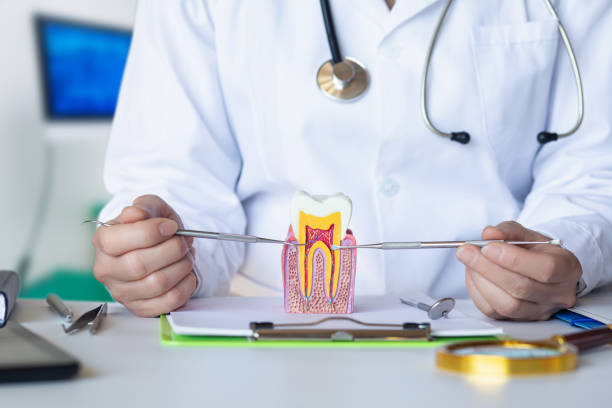 Best Emergency Gum Pain Relief  in Mount Vernon, TX